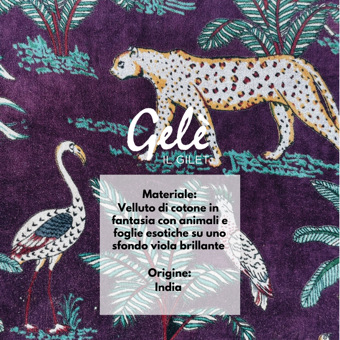 Zebra - Velvet Jungle